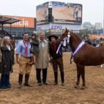 Un caballo de Mburucuyá ganó el Reservado Gran Campeón Macho en Palermo
